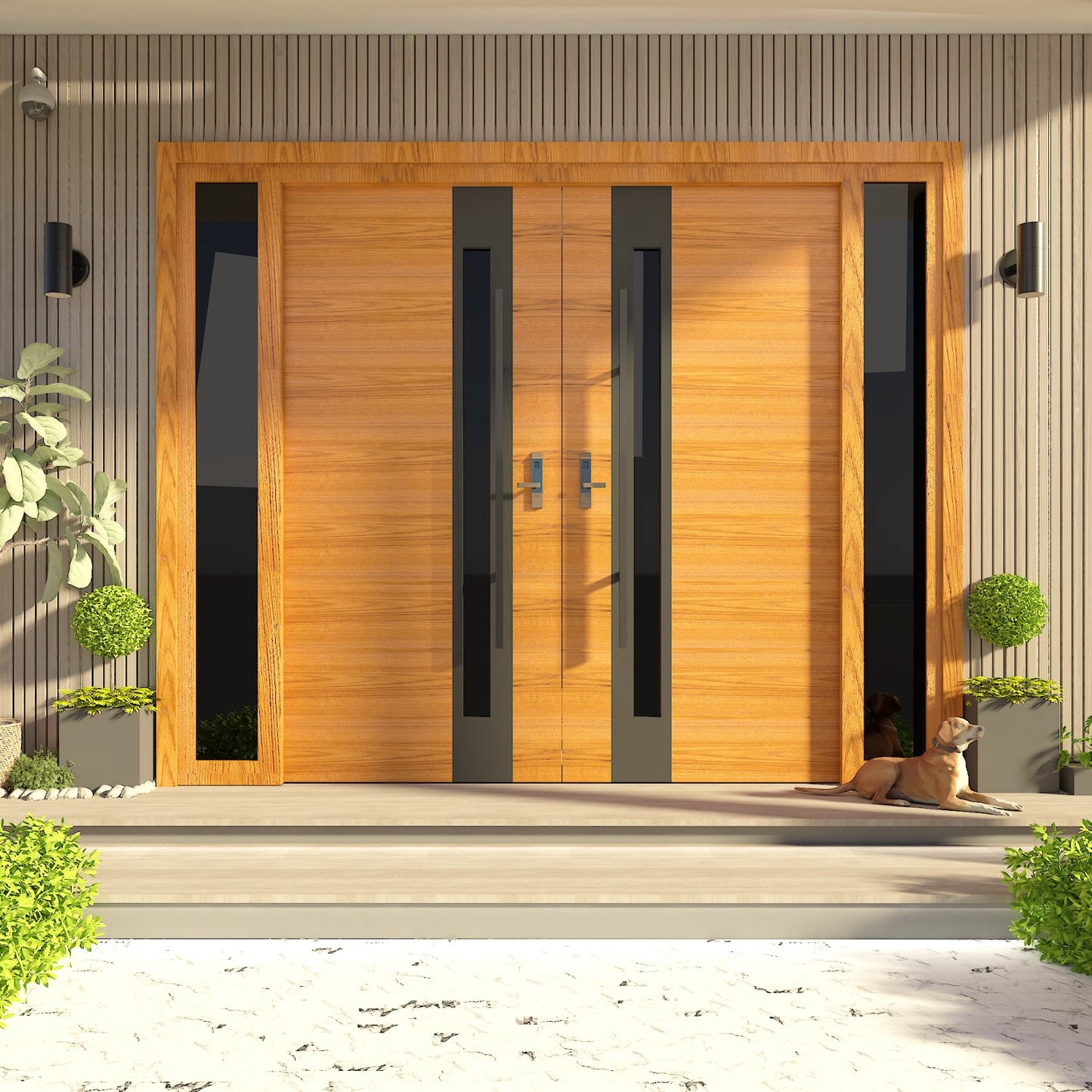 Modern Exterior Door
