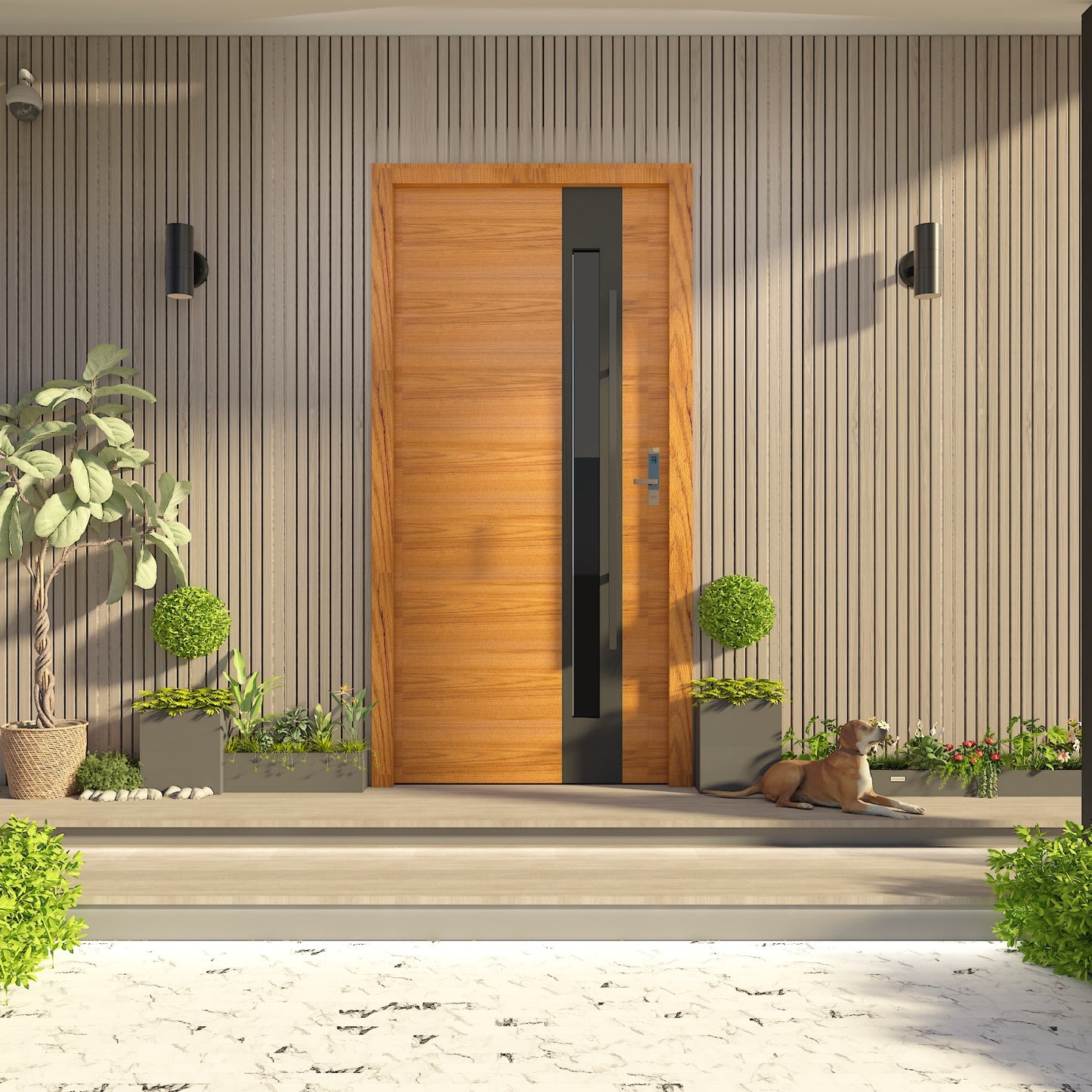 Modern Exterior Door