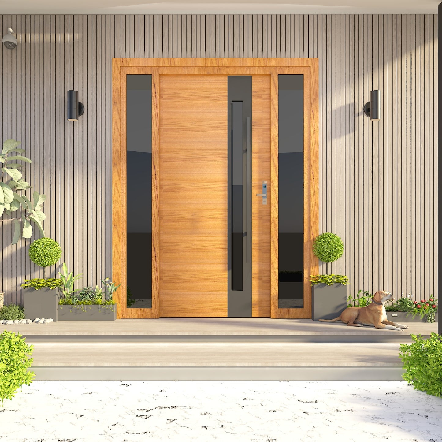 Modern Exterior Door