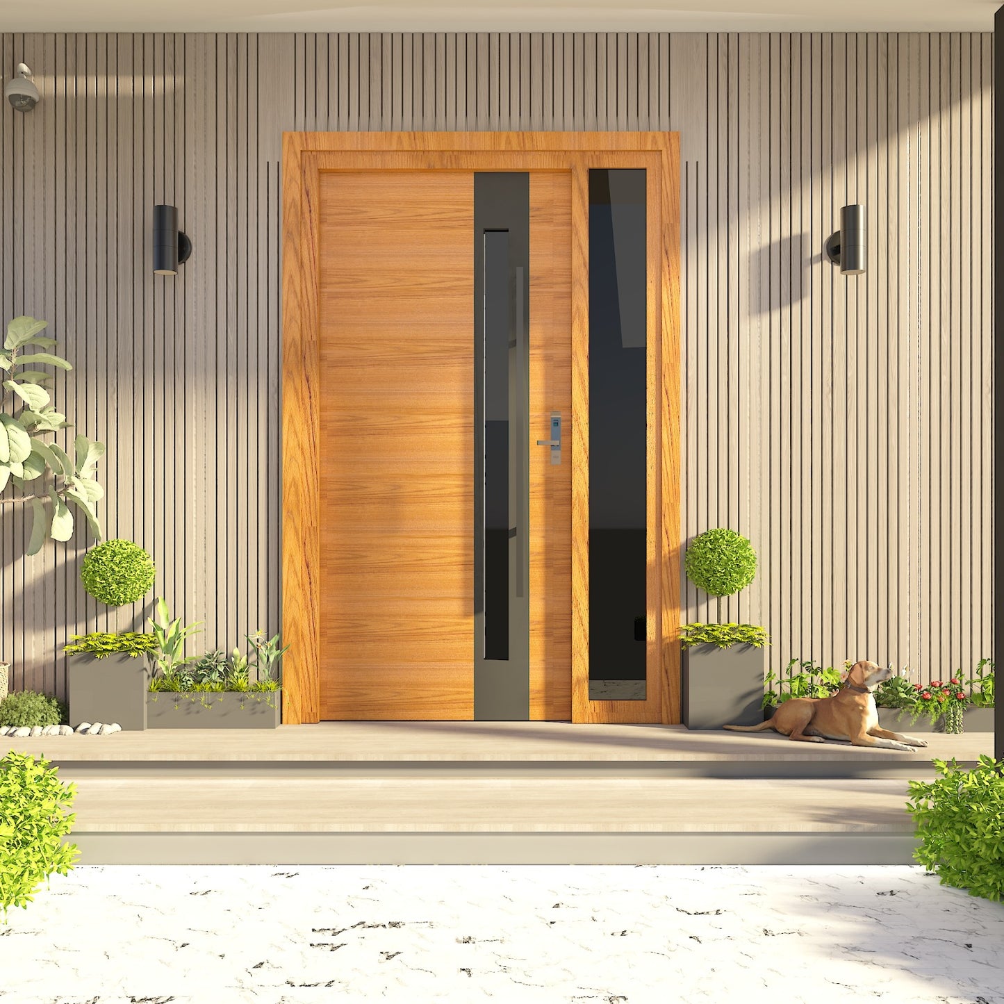 Modern Exterior Door