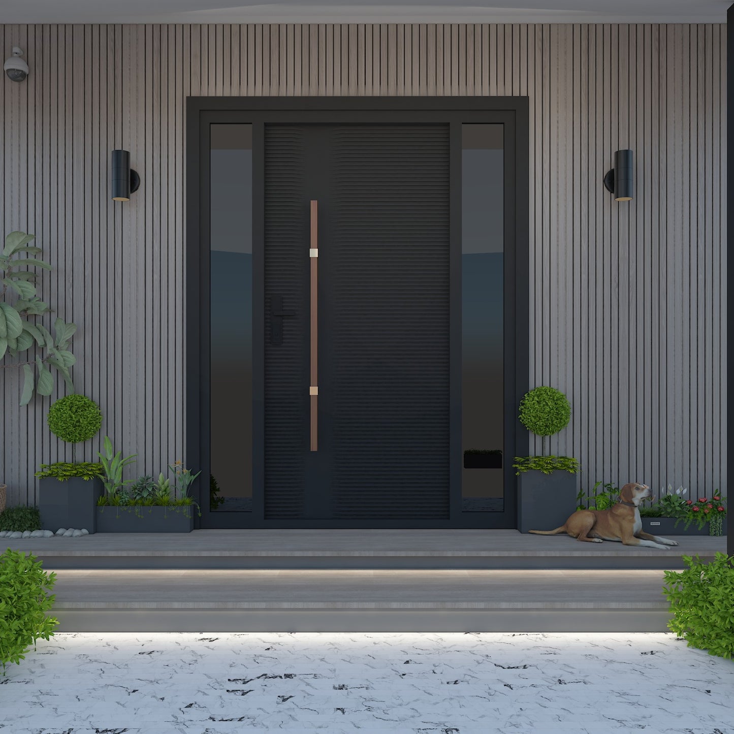 Modern Exterior Door
