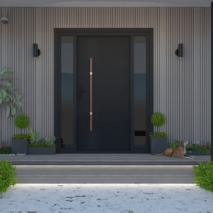 Modern Exterior Door