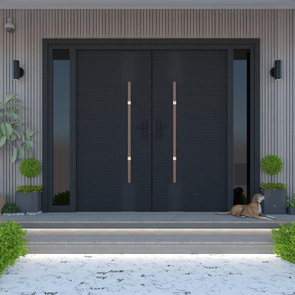 Modern Exterior Door