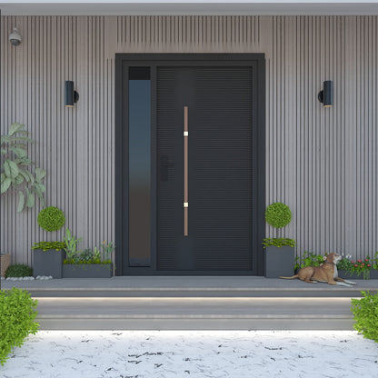Modern Exterior Door