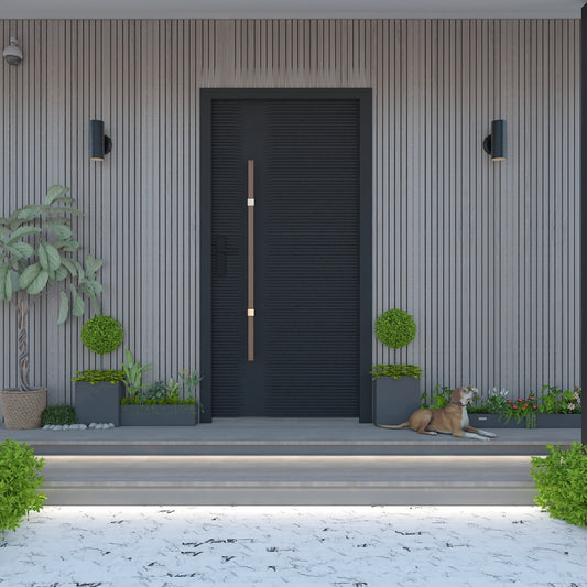 Modern Exterior Door