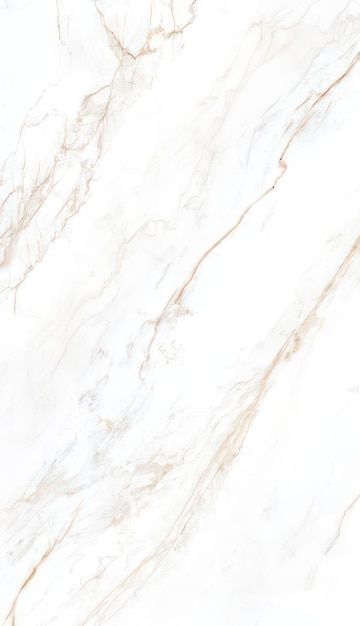 PVC Marble Sheet